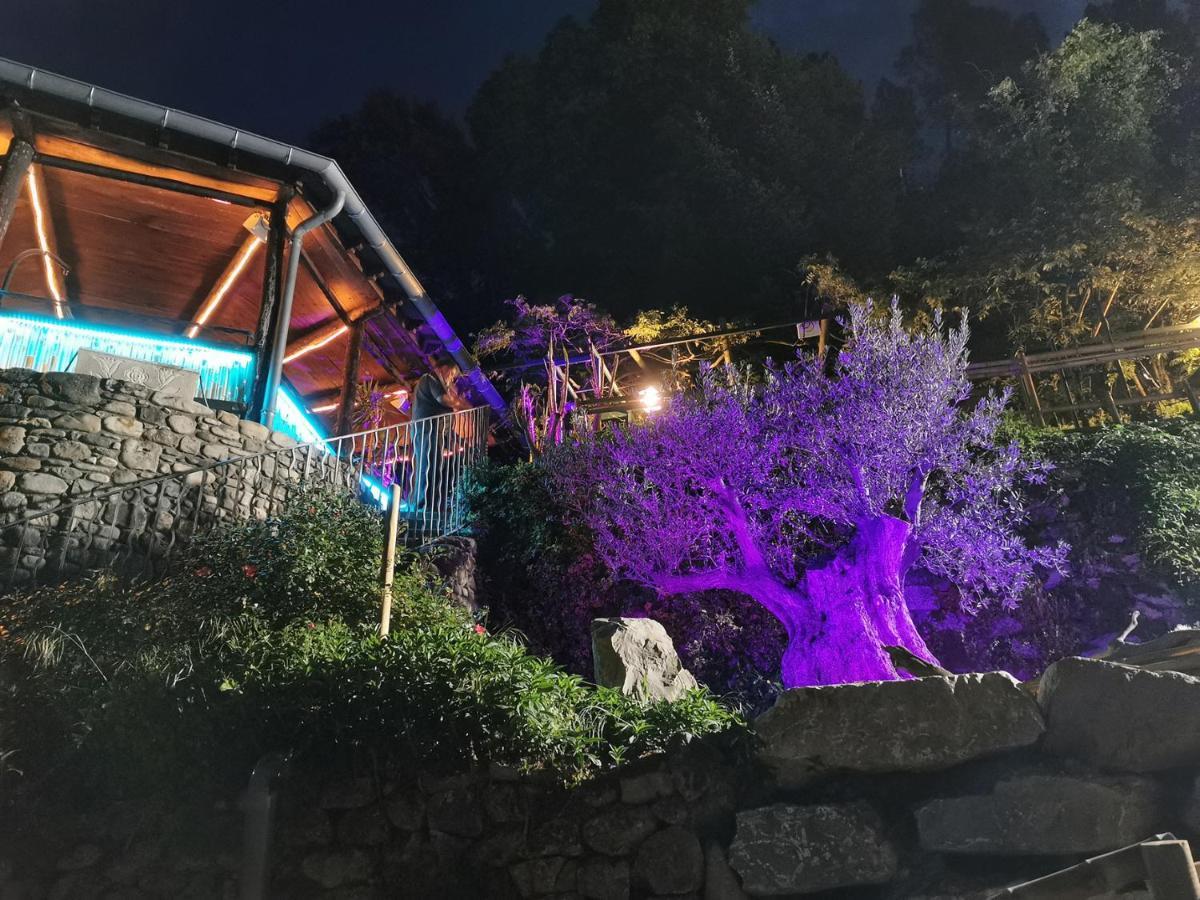 Le Moulin Du Temps -Chambres Et Lounge Bar Au Bord De La Riviere Corbés Eksteriør billede